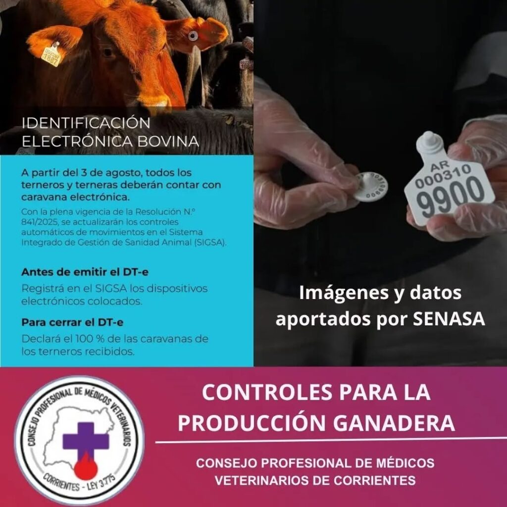 Control de terneros