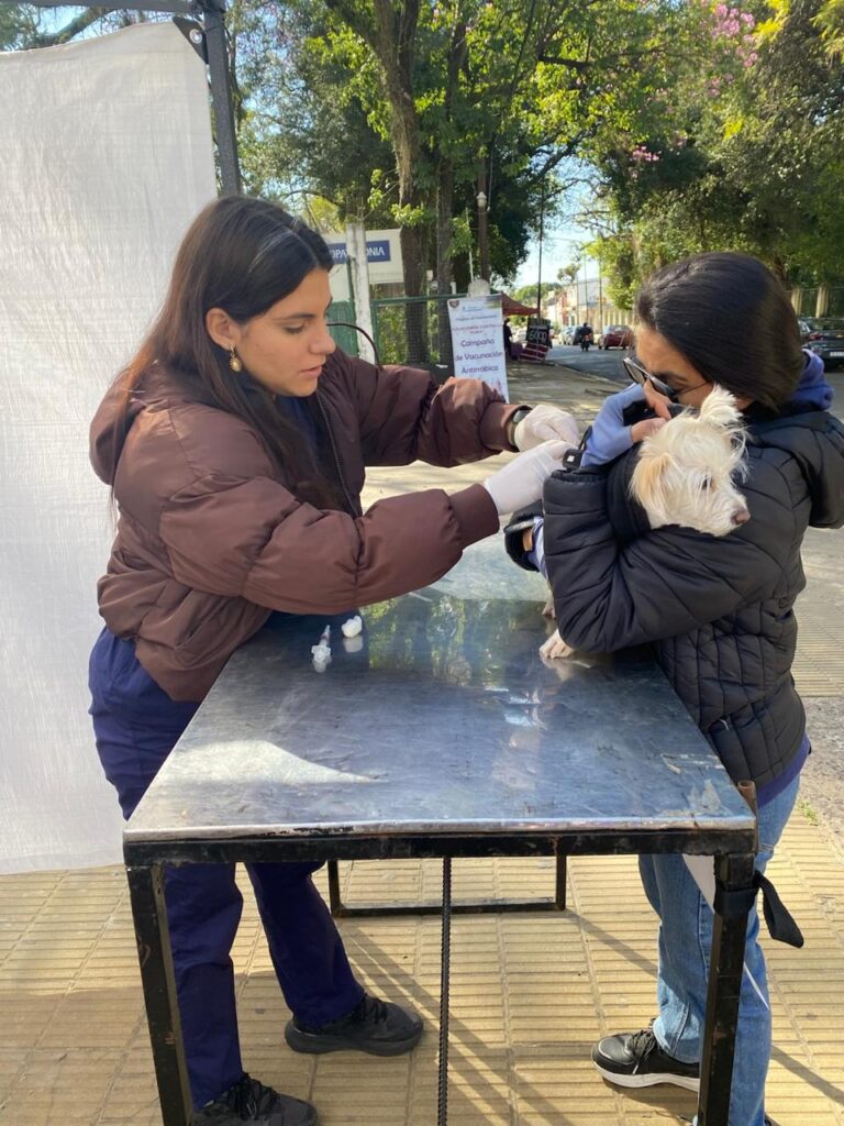 Vacunación gratuita contra la rabia en Corrientes