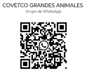 Contacto de WhatsApp COVETCO Grandes Animales